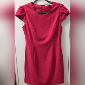 FOREVER 21 Contemporary, Sheath Dress, Beautiful Pink shade, Size Medium.